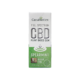 Spearmint CBD Chewing Gum (10pcs) – 5mg / piece
